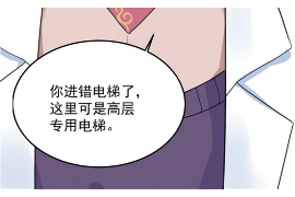 北票企业清欠服务